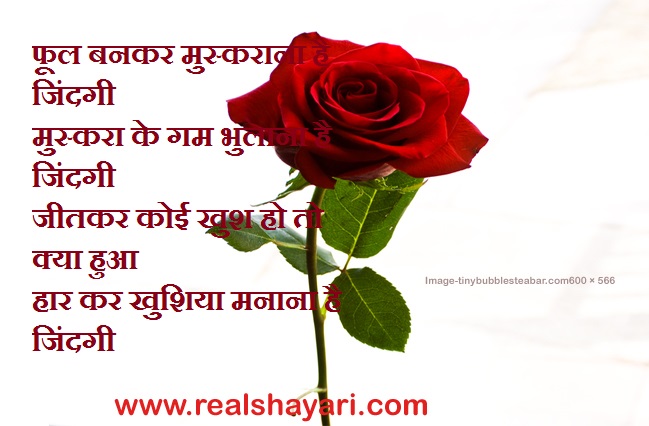 Happy shayari