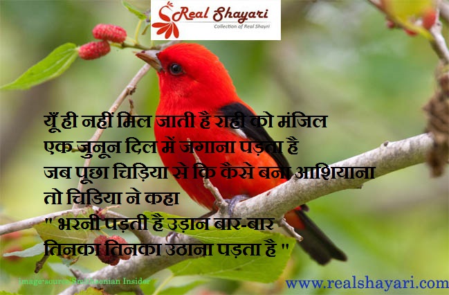 realshayari