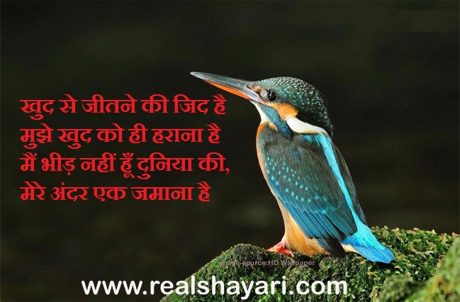 happy Shayari