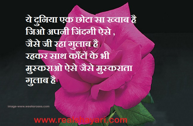 happy shayari