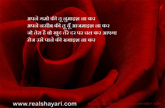 Love shayari