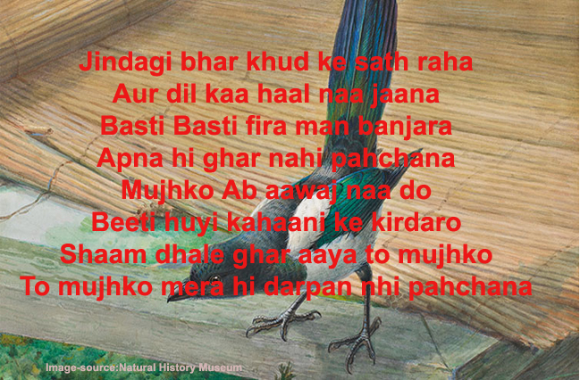 Shayari