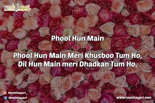 Phool Hun Main